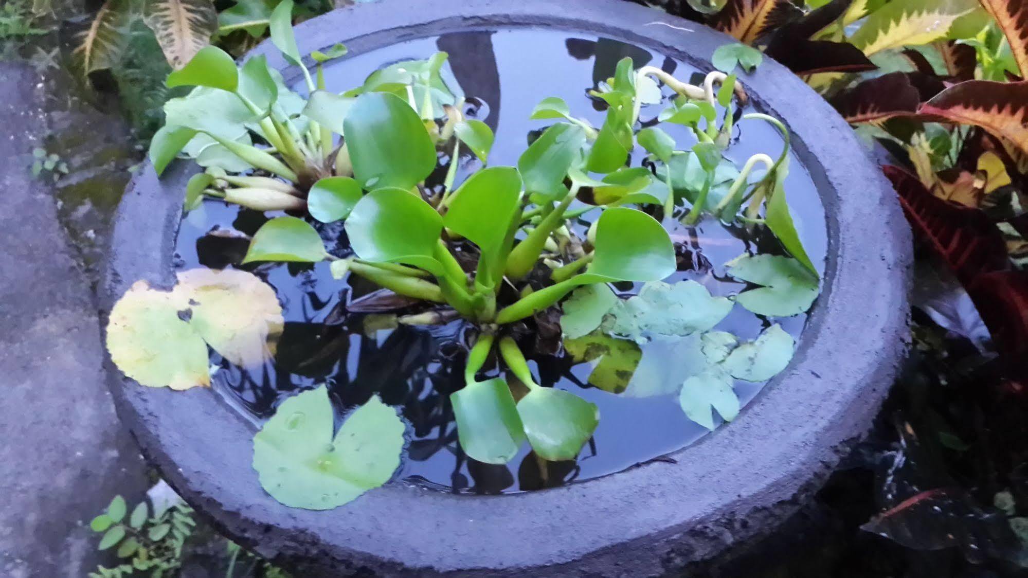 Belong Bunter Homestay Uluwatu Zewnętrze zdjęcie